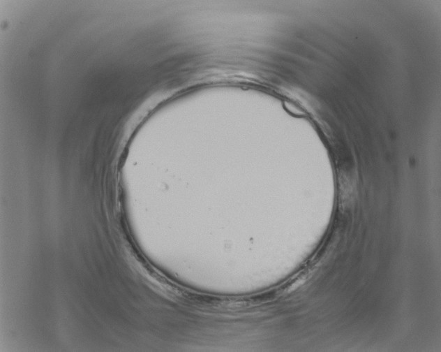 X0000067951371200605112114