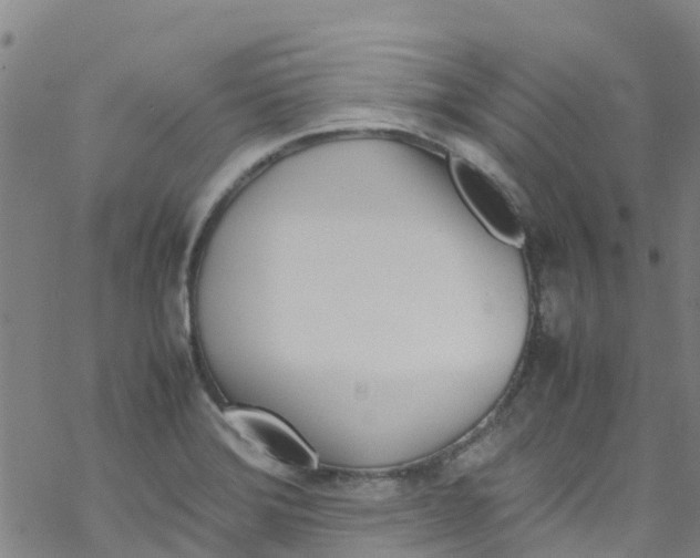 X0000067951372200605112114