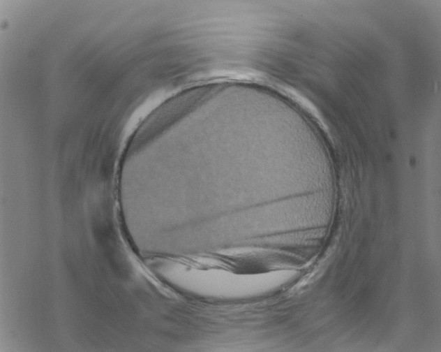 X0000067951373200605112114