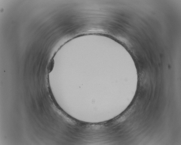 X0000067951374200605112114