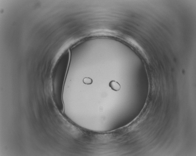 X0000067951376200605112114