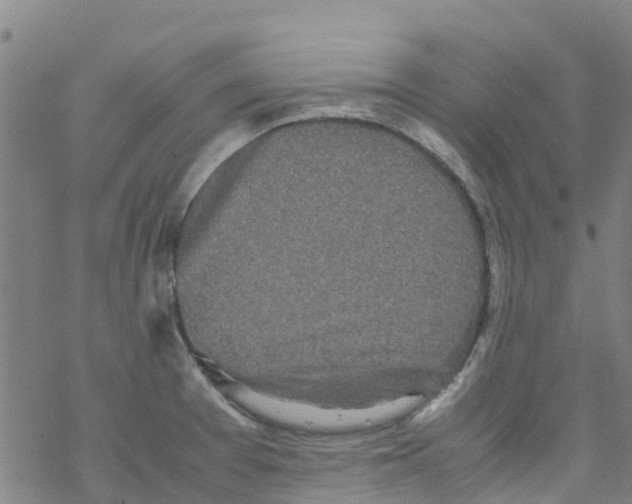 X0000067951377200605112114