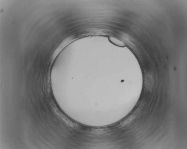 X0000067951378200605112114