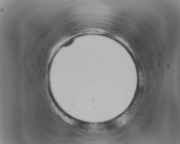 X0000067951379200605112114