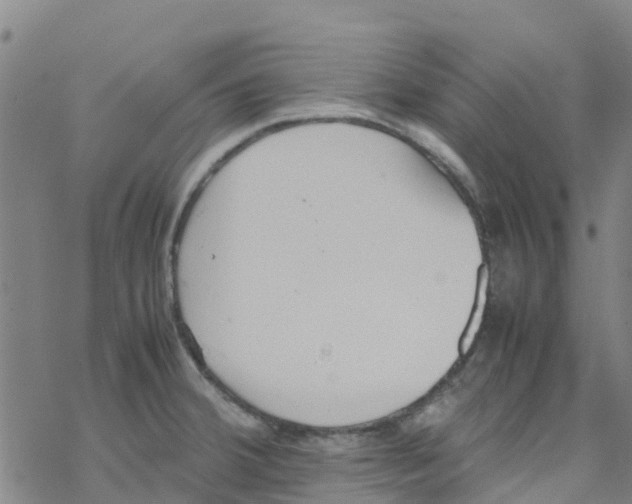 X0000067951380200605112114