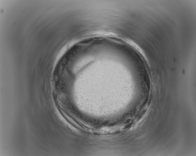 X0000067951381200605112114