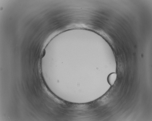 X0000067951382200605112114