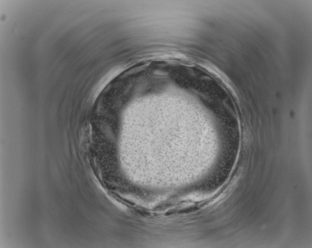 X0000067951385200605112114