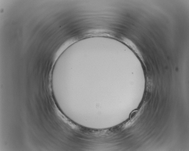 X0000067951386200605112114