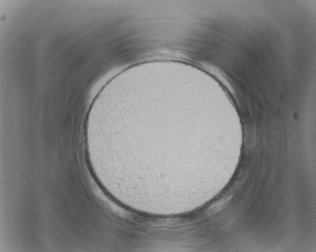 X0000067951387200605112114