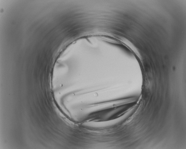 X0000067951388200605112114