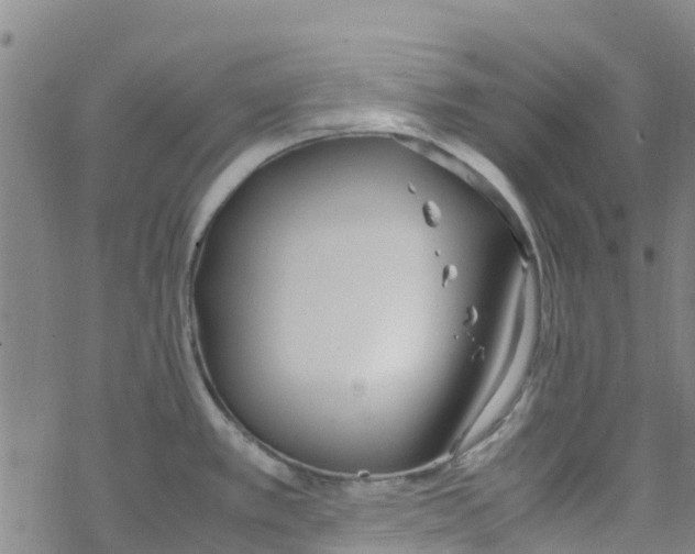 X0000067951389200605112114