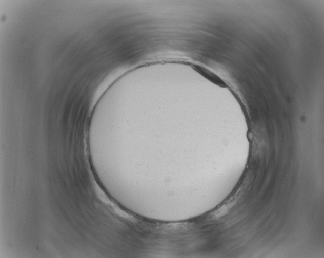 X0000067951390200605112114