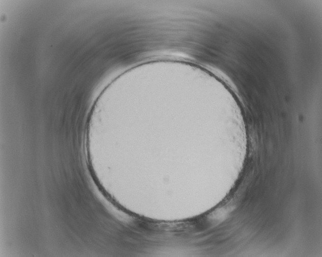 X0000067951391200605112114