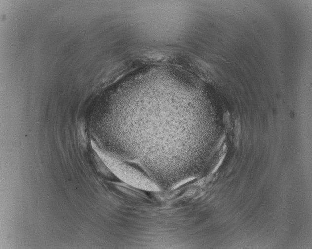 X0000067951394200605112113