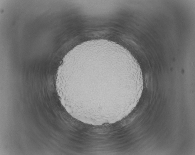 X0000067951395200605112113