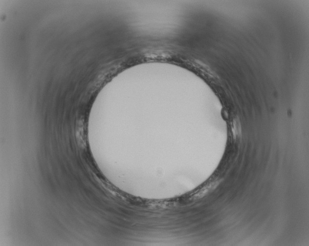 X0000067951396200605112113