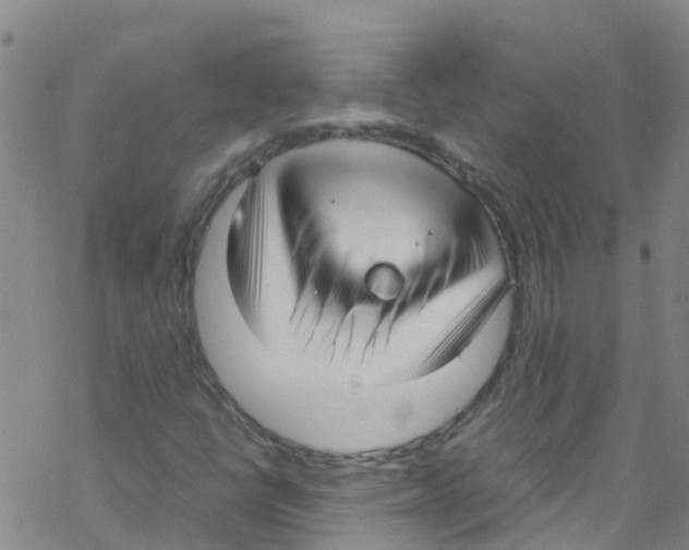 X0000067951398200605112113