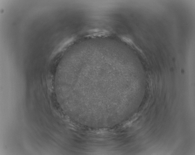 X0000067951399200605112113