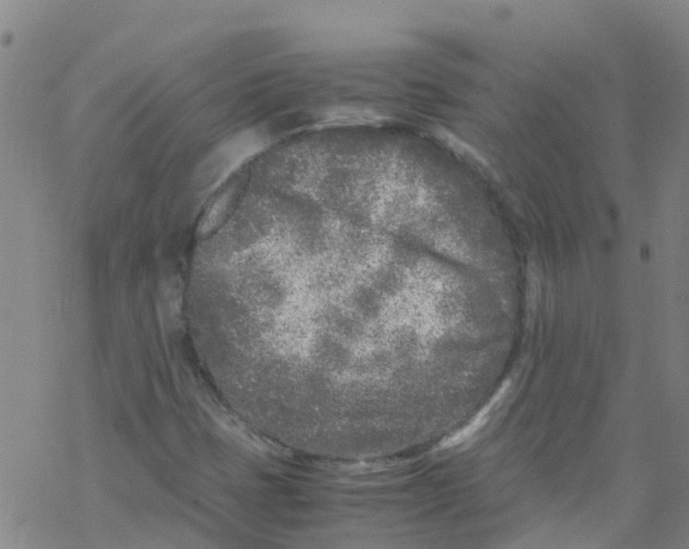 X0000067951401200605112113