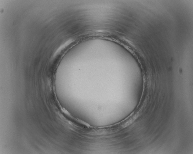 X0000067951402200605112113