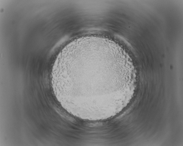 X0000067951403200605112113