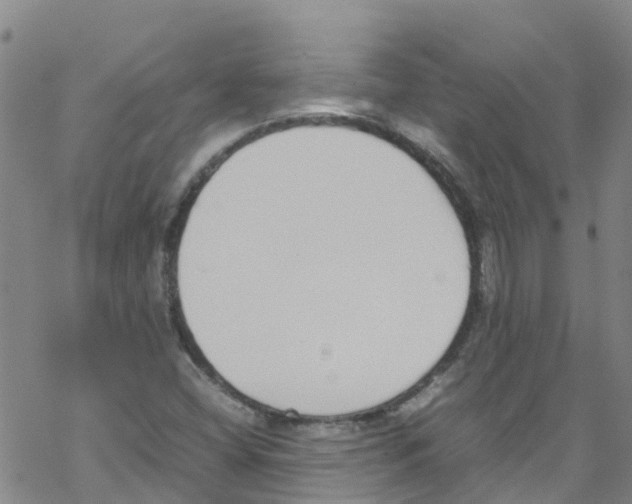 X0000067951404200605112113