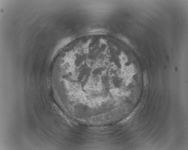 X0000067951405200605112113