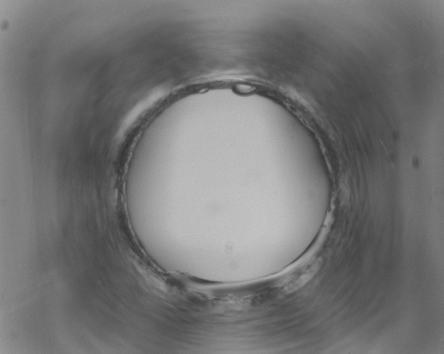 X0000067951406200605112113