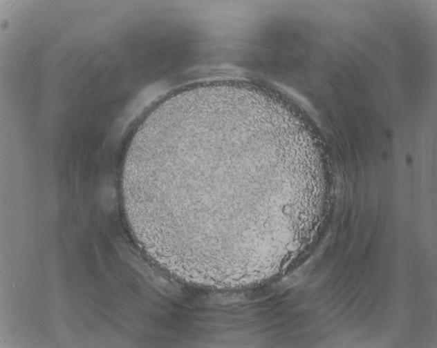 X0000067951407200605112113