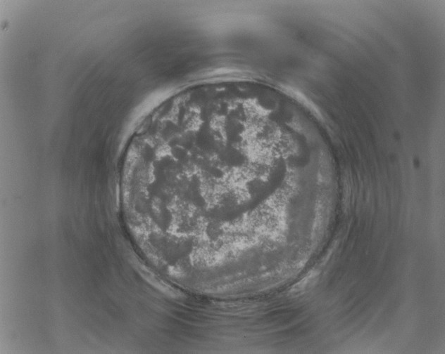 X0000067951413200605112114