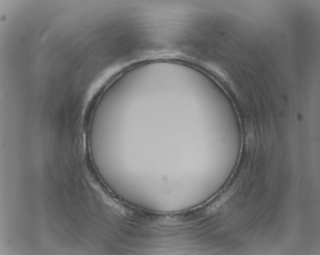 X0000067951414200605112114