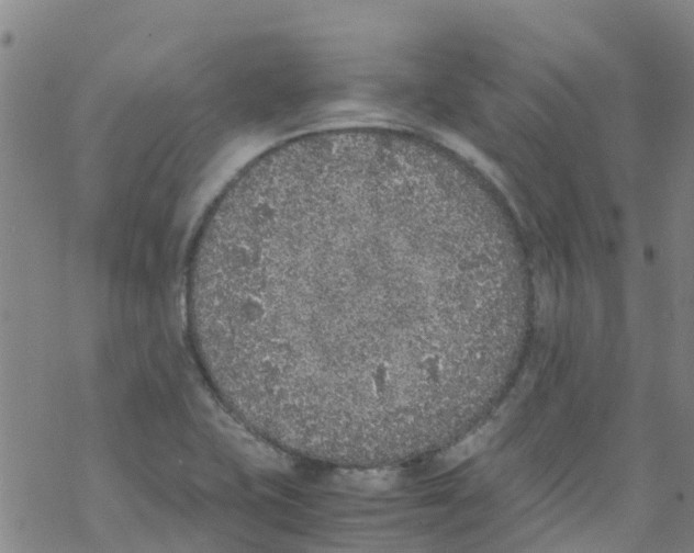 X0000067951415200605112114