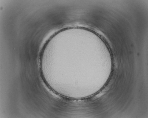 X0000067951416200605112114