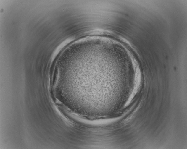 X0000067951418200605112114