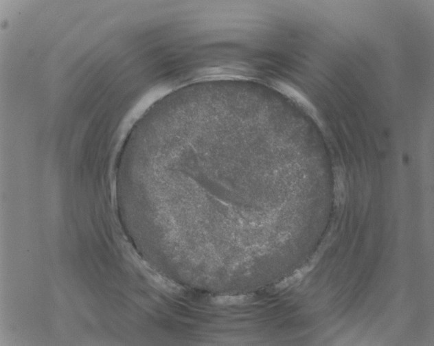 X0000067951419200605112114