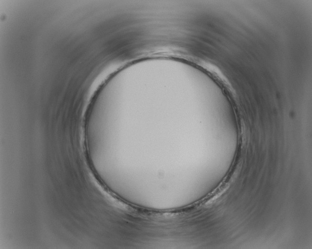 X0000067951424200605112114