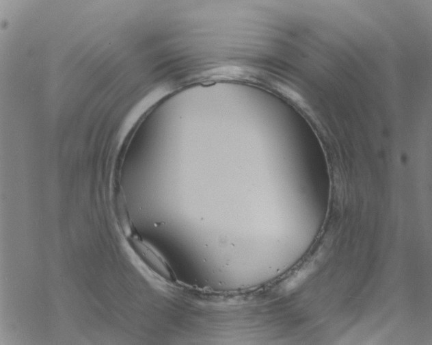 X0000067951426200605112114