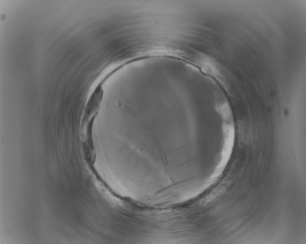 X0000067951428200605112114