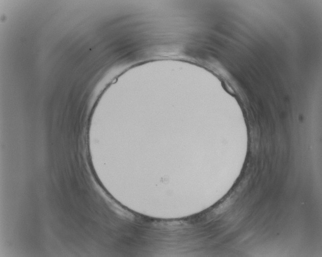 X0000067951432200605112114