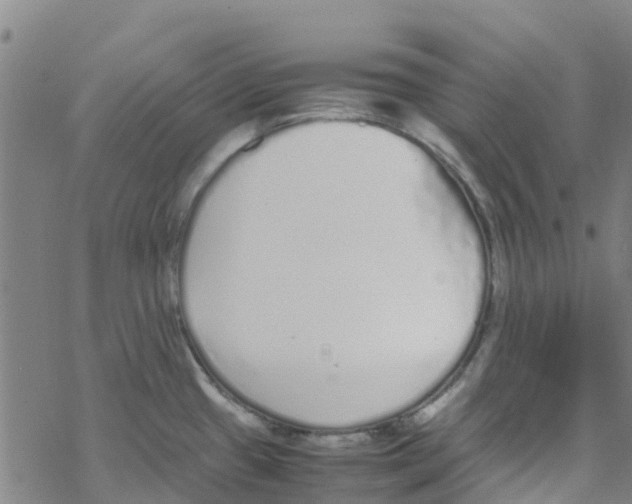 X0000067951433200605112114