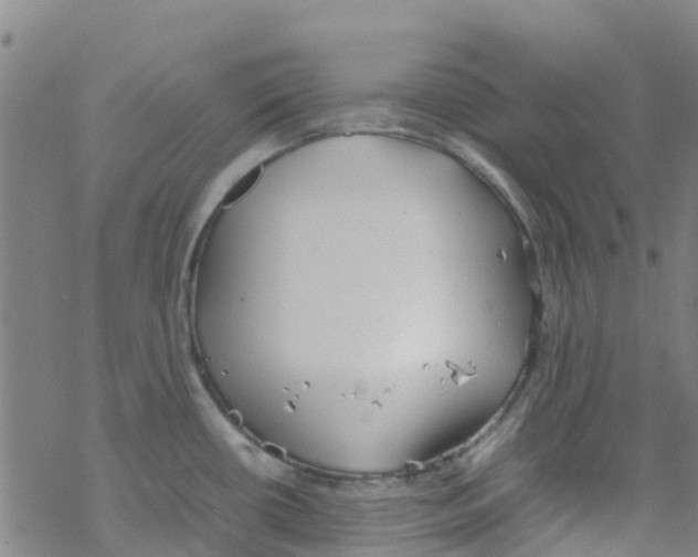 X0000067951434200605112114