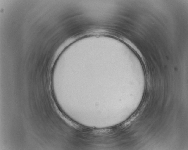 X0000067951437200605112114