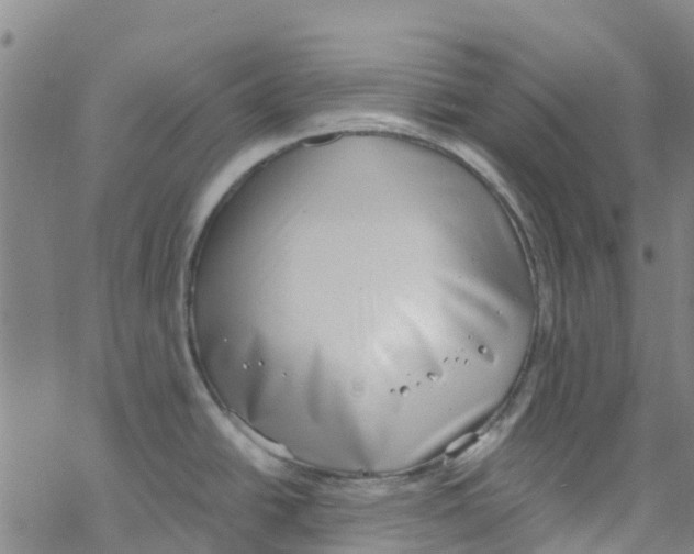 X0000067951438200605112114