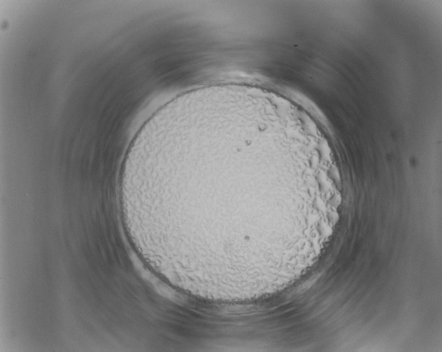 X0000067951439200605112114