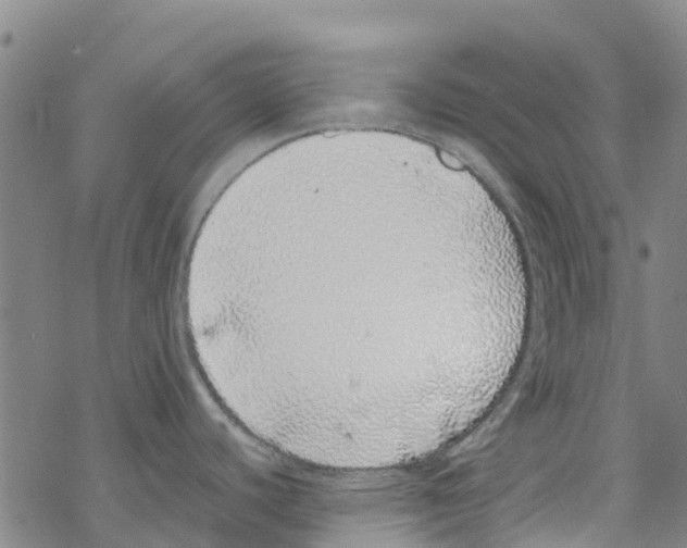 X0000067951440200605112114