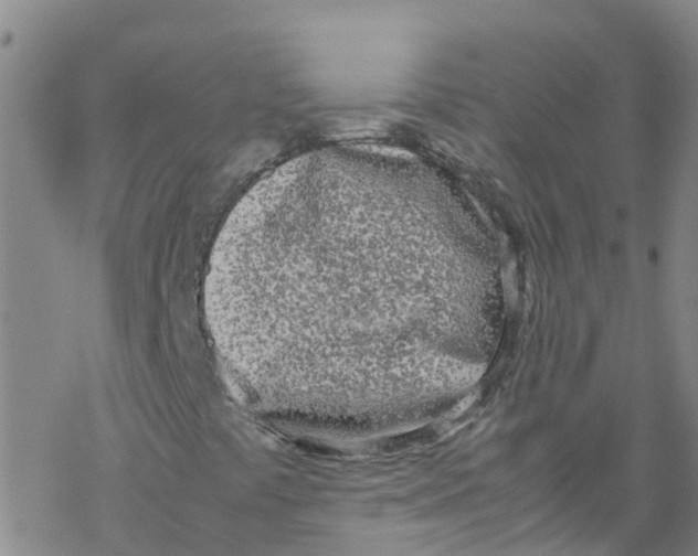 X0000067951441200605112113