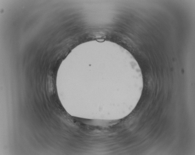 X0000067951442200605112113