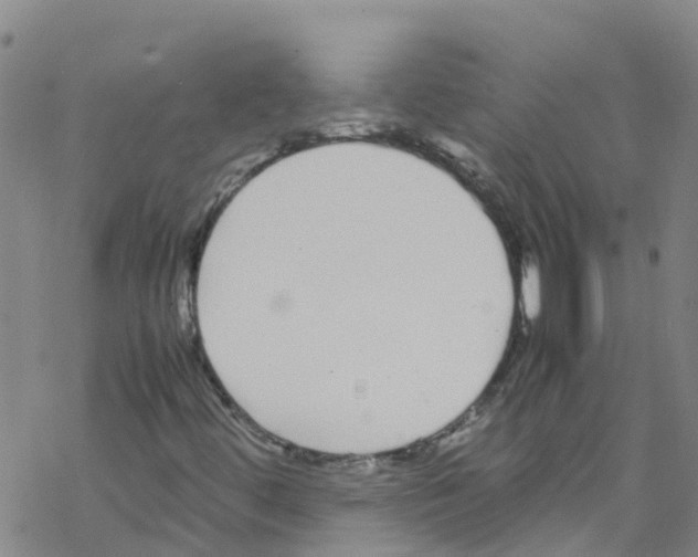 X0000067951444200605112113