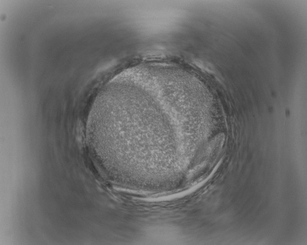 X0000067951445200605112113